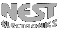 Nest Electronics