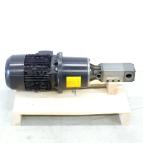 Schraubenspindelpumpe mit Motor 