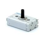 Schwenkantrieb DRQD-12-90-J20-A-ZW-ZS 