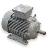 Three-phase Motor 3258834 Used