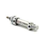 Pneumatic cylinder  