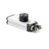Rotary module  