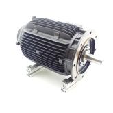 Three-phase Motor DH18-250-4-100  Used