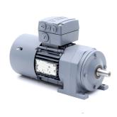 Getriebemotor  Neu