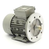 Three-phase motor TFCP80A-4 New
