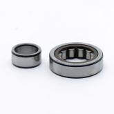 Cylindrical Roller Bearing  New FS