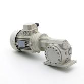 Gearmotor T71B4  Used
