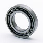 Cylindrical Roller Bearing  New FS