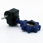 Butterfly valve  New