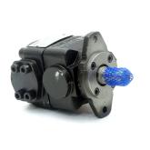 Innenzahnrad-Pumpe QX22-005R117-8 Neu