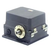 Cam gear  