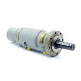 Hydraulic motor  