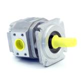 Hydraulic pump PGF3-31/025RE07VE4 New