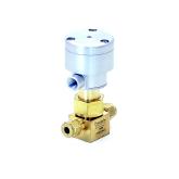 Bellows valve  New FS