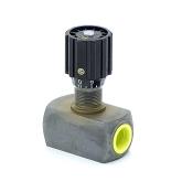 Throttle check valve  Used