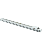 Rodless belt cylinder  New