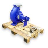 Kühlwasserpumpeneinheit ETANORM G 150-250 G11 Neu