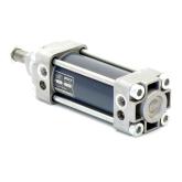 Pneumatic cylinder  