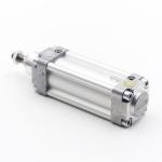 Standard Cylinder DNU-40-48,5-PPV-A