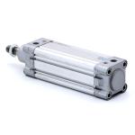 Pneumatic Cylinder DNC-50-100-PPV