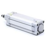 Standard Cylinder DNC-63-125-PPV-A-S6