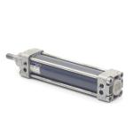 Pneumatic cylinder
