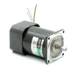 Speed Control Motor 