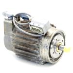 Electric rotary drive