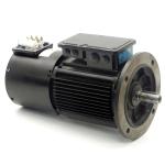 Three-phase motor with fan 