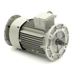 Three-phase motor FE90L-4 