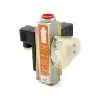 Flow meter/monitor SMV-R 