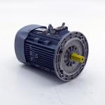 Three-phase Motor 