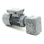 Gear motor S030WG-6 3S/4-BR02 