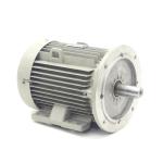3-Phase Motor FCP132M-4