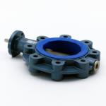 Butterfly valve 