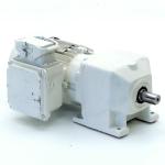 gear motor 71L/2MS + 172-71L/2MS 