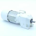 Getriebemotor SK 90 S/4 BRE20 TWI M9 + 272-90 S/4 BRE20 TW M