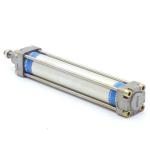 Pneumatic cylinder DNG-50-250-PPV-A