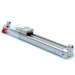Kolbenstangenloserzylinder R480146765