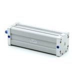 Pneumatic cylinder 