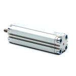 Pneumatic cylinder ADVU-32-125-A-P-A