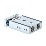 Dual rod cylinder