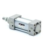 Pneumatic cylinder 