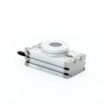 Pneumatic rotary drive