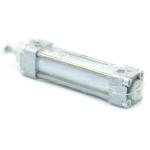 Pneumatic cylinder 