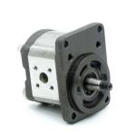 Hydraulische Zahnradpumpe 