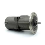 Screw spindle Pump S.6059885 