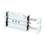 Double piston cylinder 159972 