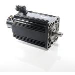 Permanent magnet motor  