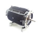 Drehstrommotor DH18-250-4-100 